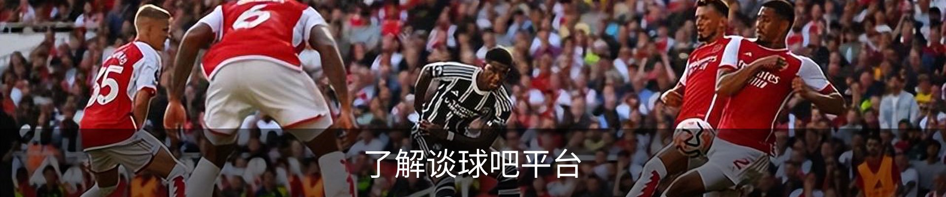 了解谈球吧平台